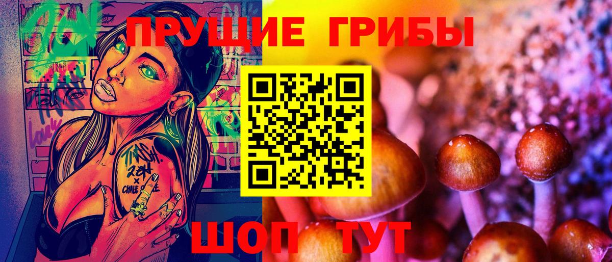 Торжок  Псилоцибиновые грибы MAGIC MUSHROOMS  Вход с VPN  где можно купить наркотик  Галлюциногенные грибы MAGIC MUSHROOMS 
