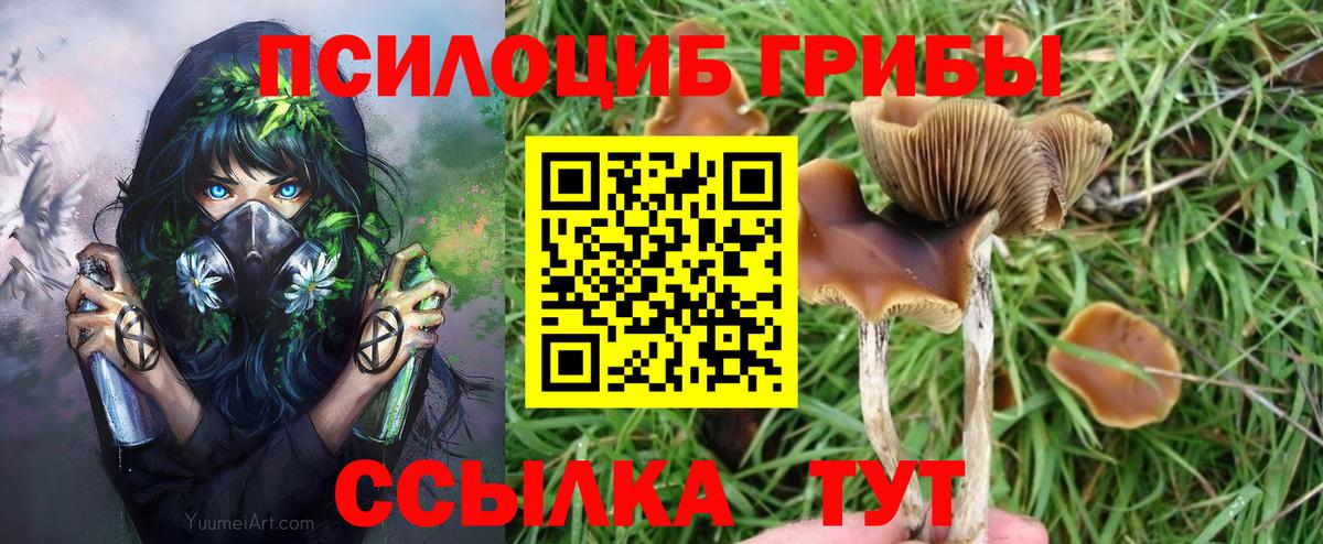 Галлюциногенные грибы GOLDEN TEACHER Торжок